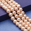 Natural Cultured Freshwater Pearl Beads Strands PEAR-P060-24B-01-1