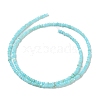 Natural Freshwater Shell Beads Strands SHEL-P017-01A-03-2