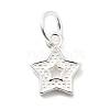 925 Sterling Silver Charms STER-S009-07C-S-1