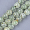 Natural Prehnite Beads Strands G-S333-10mm-032-1