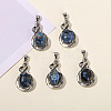 Natural Pietersite Teardrop Pendants PW-WG59668-01-1