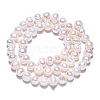 Natural Cultured Freshwater Pearl Beads Strands PEAR-N013-06K-4