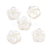 Natural Trochid Shell/Trochus Shell Beads SHEL-P014-02D-2