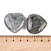 Natural Labradorite Healing Stones G-G020-01-05-3