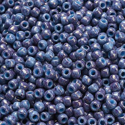 TOHO 6/0 Round Beads X-SEED-TR06-1204-1