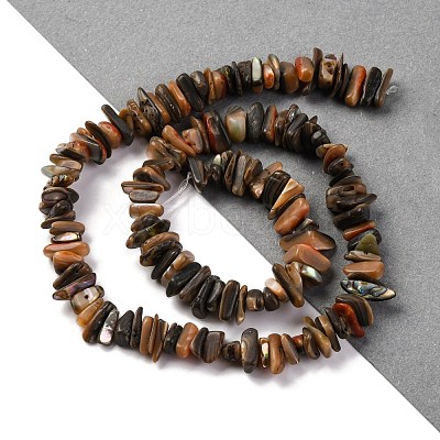 Natural Paua Shell Beads Strands BSHE-B007-05-1