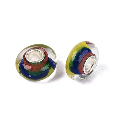 Handmade Lampwork & Brass Core European Beads LAMP-N044-08S-01-1