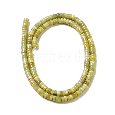 Natural Idocrase Beads Strands G-I339-03A-1