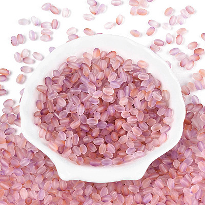 Frosted Glass Seed Beads SEED-N008-05C-1