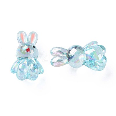 Transparent Acrylic Beads LS-MACR-S373-81-Q03-1