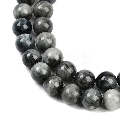 Natural Hawk's Eye Beads Strands G-S333-10mm-027-1