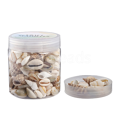 Trumpet Shell Beads BSHE-YW0001-03-1