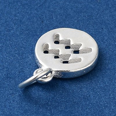 925 Sterling Silver Constellations Charms LS-STER-M118-01E-1