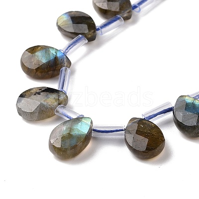Natural Labradorite Beads Strands G-I246-09-A-1