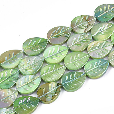 Freshwater Shell Beads Strands SHEL-S274-61B-1