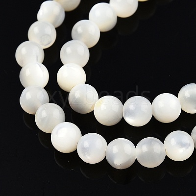 Natural White Shell Bead Strands X-SSHEL-N003-144D-01-1