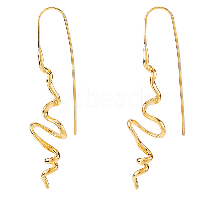 1 Pair Brass Dangle Earrings EJEW-HS0001-29G-1