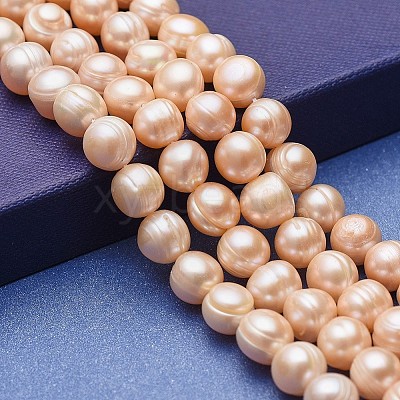Natural Cultured Freshwater Pearl Beads Strands PEAR-P060-24B-01-1
