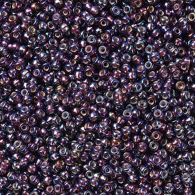 MIYUKI Round Rocailles Beads X-SEED-G007-RR1013-1