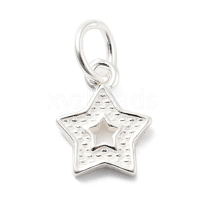925 Sterling Silver Charms STER-S009-07C-S-1