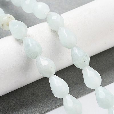 Natural Amazonite Beads Strands G-P520-B10-01-1