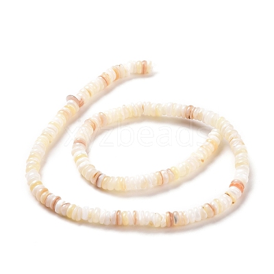 Shell Beads Strands SSHEL-E571-49I-1