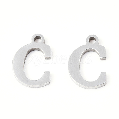201 Stainless Steel Charms STAS-N091-176C-P-1