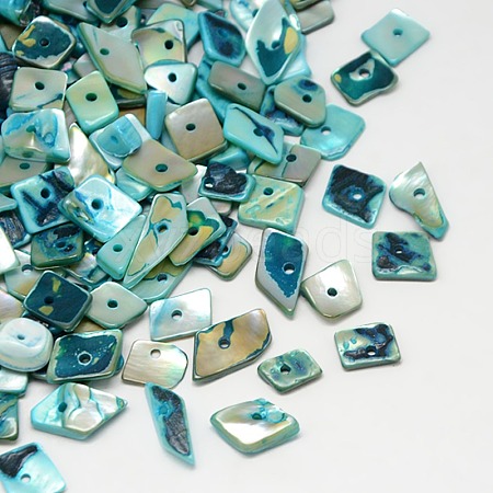 Dyed Natural Freshwater Shell Chips Beads SHEL-A003-A04-1