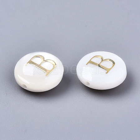 Natural Freshwater Shell Beads SHEL-S266-12B-1