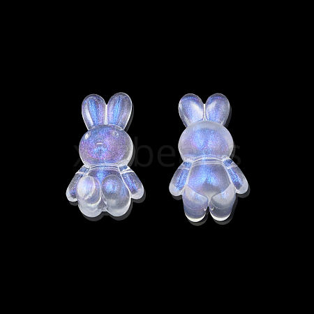 Transparent Acrylic Beads OACR-N008-172F-1