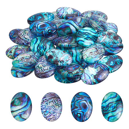 50Pcs Lampwork Cabochons LAMP-PH0001-45-1