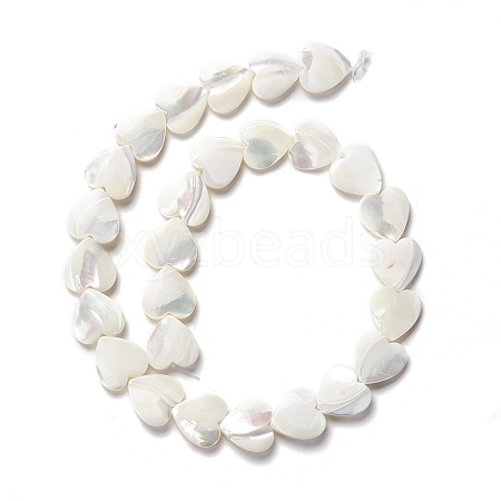 Natural Trochid Shell/Trochus Shell Beads SSHEL-O001-27D-1