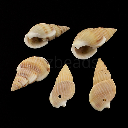 Spiral Shell Pendants SSHEL-R036-19-1