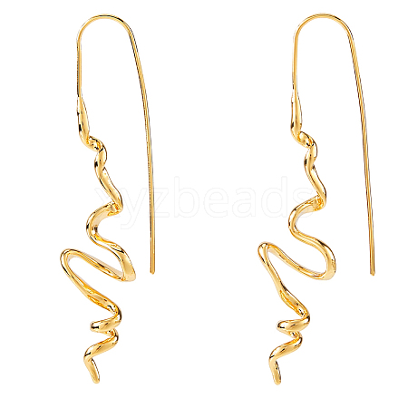 1 Pair Brass Dangle Earrings EJEW-HS0001-29G-1