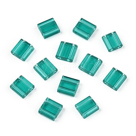 2-Hole Glass Seed Beads SEED-T003-01C-09-1