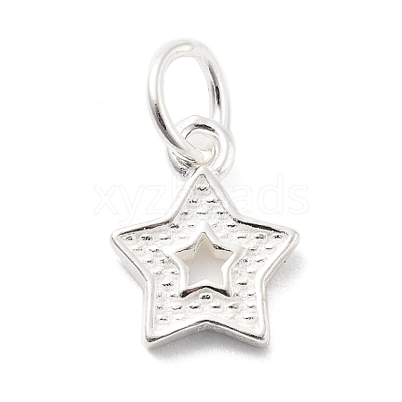 925 Sterling Silver Charms STER-S009-07C-S-1