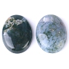 Natural Indian Agate Cabochons PW-WG8E62B-02-2