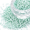 13/0 Glass Seed Beads SEED-T005-14A-A19-1
