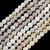 Natural White Moonstone Beads Strands LS-G-C277-A01-6mm-2