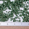 MIYUKI Delica Beads SEED-J020-DB0148-4