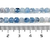 Natural Devil Blue Aquamarine Beads Strands G-F717-16C-4