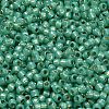 TOHO 8/0 Round Beads X-SEED-TR08-2119-2