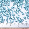 MIYUKI Delica Beads LS-X-SEED-J020-DB0375-4