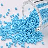 11/0 Grade A Baking Paint Glass Seed Beads X-SEED-N001-A-1018-1