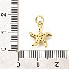 Brass Micro Pave Clear Cubic Zirconia Pendants KK-Q040-01D-G-3