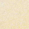 11/0 FGB Grade A Transparent Glass Seed Beads X-SEED-N001-E-301-2