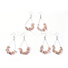 Dangle Earrings EJEW-E255-B21-2