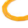 Natural Freshwater Shell Beads Strand SHEL-T017-40E-3