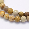 Natural Fossil Coral Beads Strands G-G697-F01-4mm-3