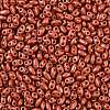 Baking Paint Glass Seed Beads SEED-T006-03T-2